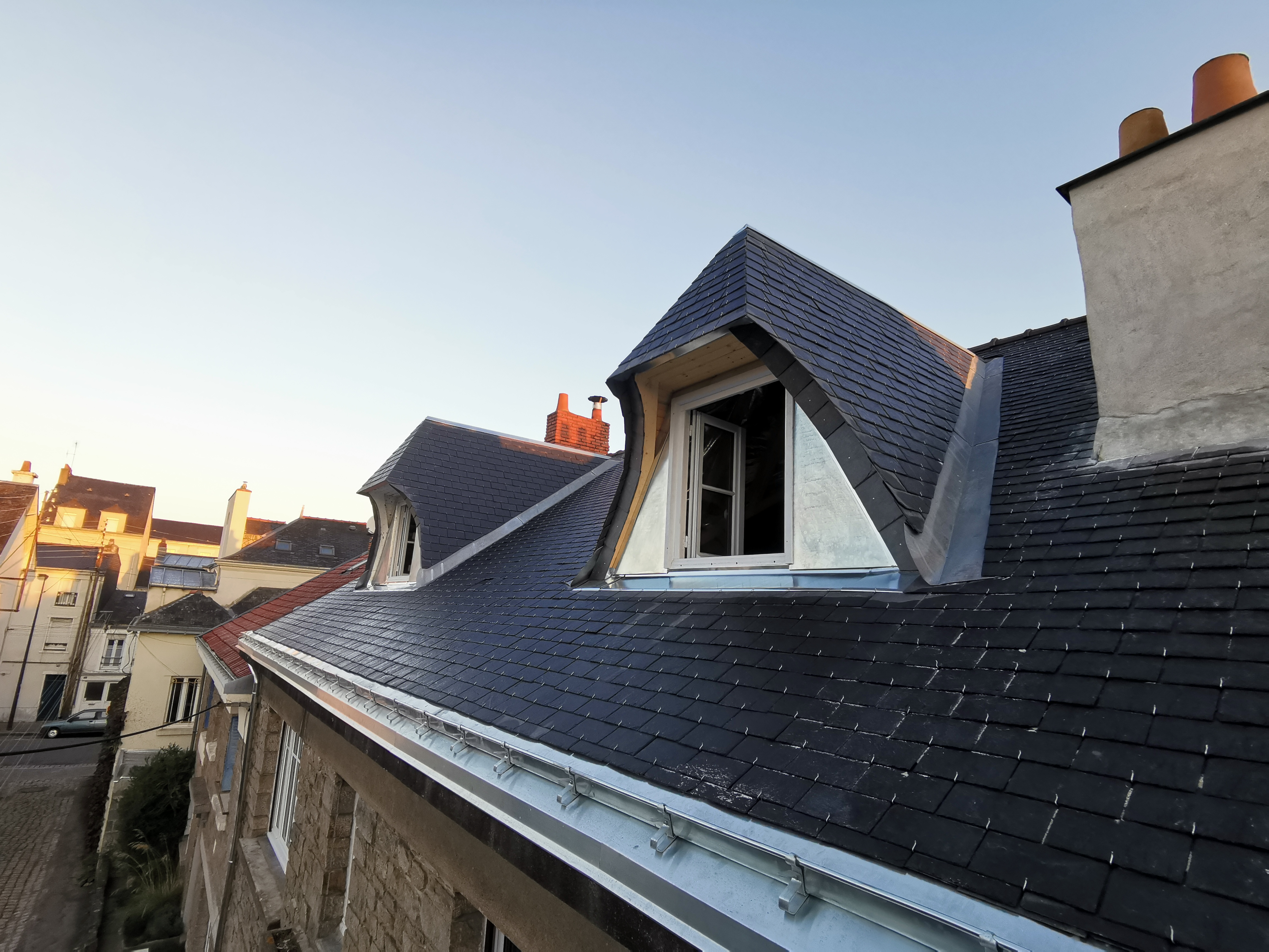 Rénovation chiens assis